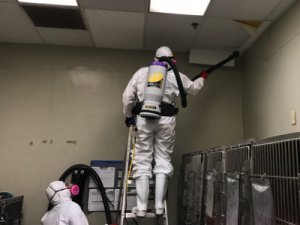 Indoor Air Quality Assessment Maitland FL