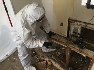 Mold Cleanup Waterford Lakes FL